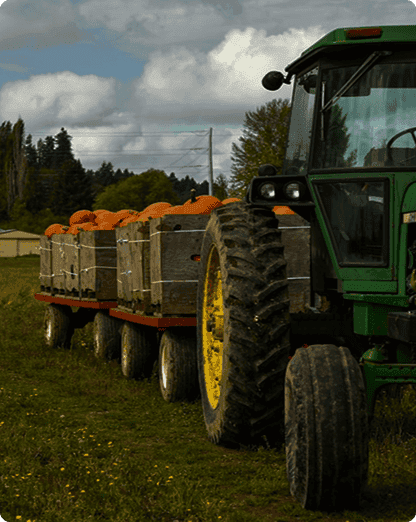Agriculture & Farming