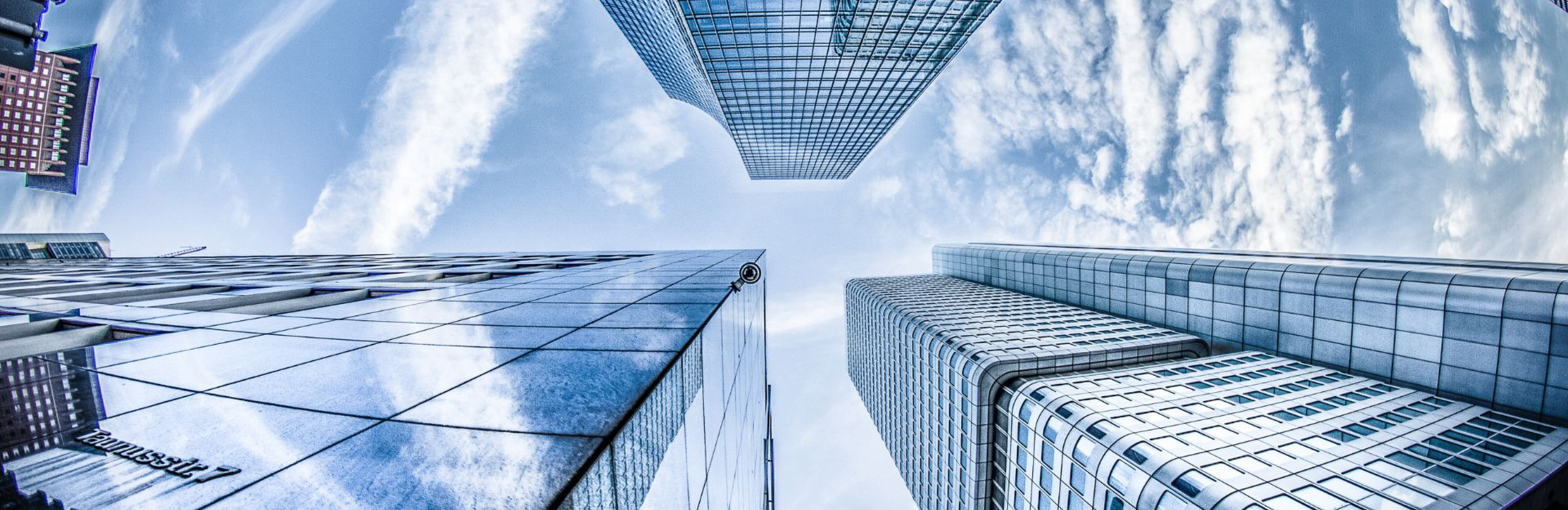 Enterprise software and technology partnership